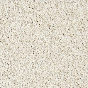 Noteworthy Selection Balsam Beige